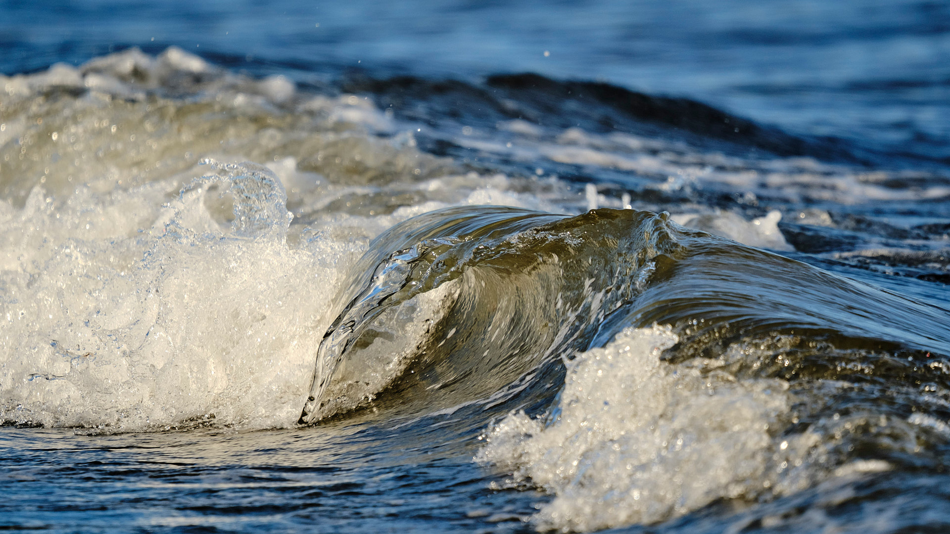 Mobirise Website Builder